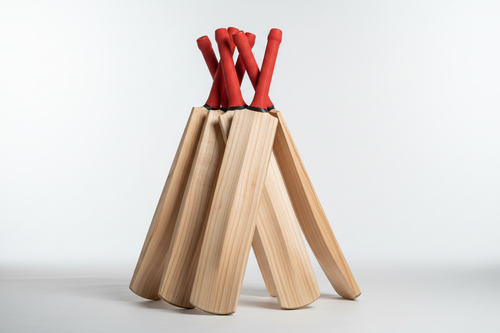 Cricket Bats